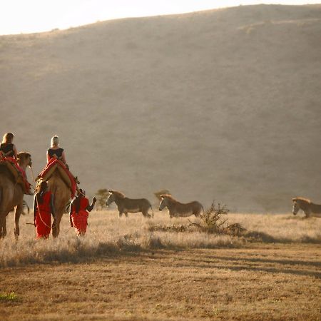ホテル Elewana Lewa Safari Camp Timau エクステリア 写真