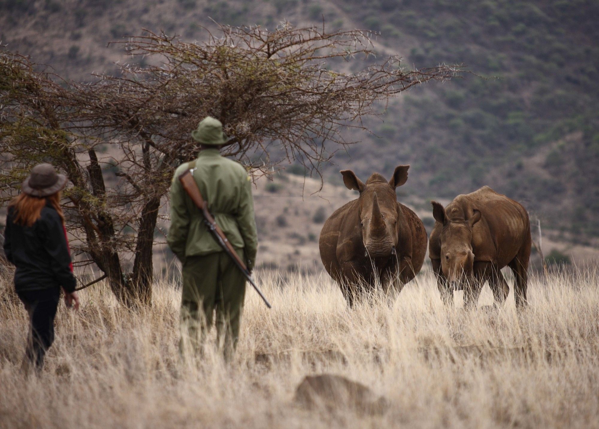 ホテル Elewana Lewa Safari Camp Timau エクステリア 写真