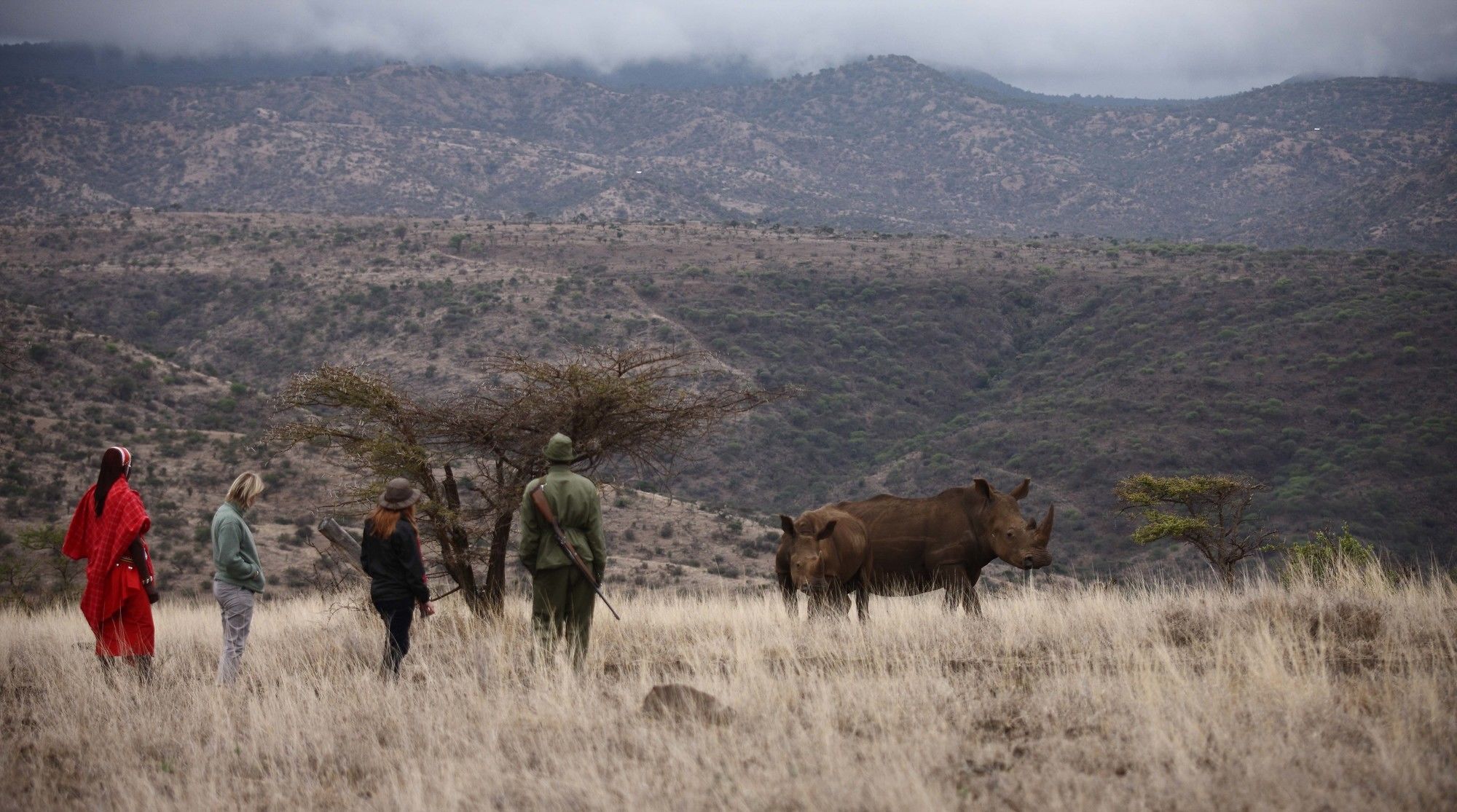 ホテル Elewana Lewa Safari Camp Timau エクステリア 写真