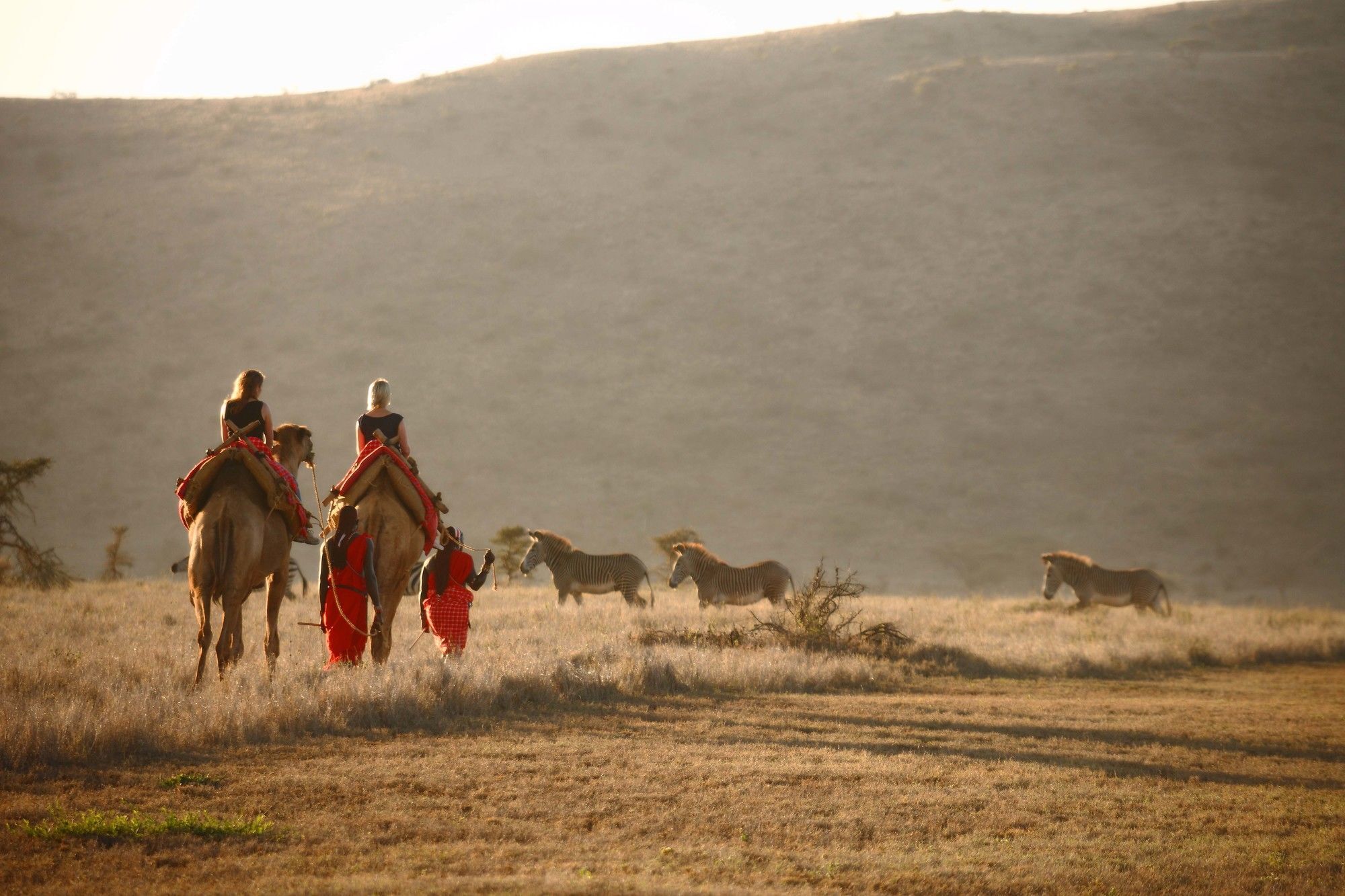 ホテル Elewana Lewa Safari Camp Timau エクステリア 写真